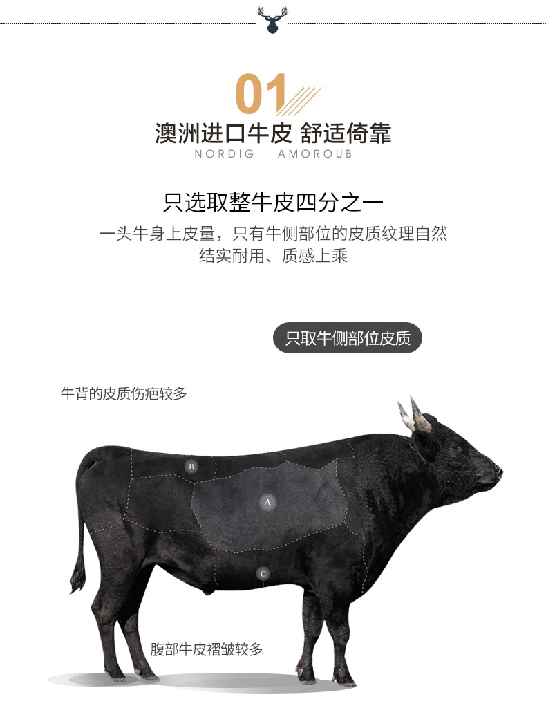 图片31.png